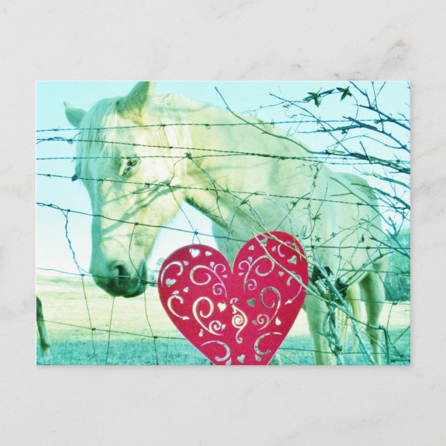 Cartes Pour Fêtes Annuelles Cheval Blanc Coeur Rouge Saint Valentin (Devant)