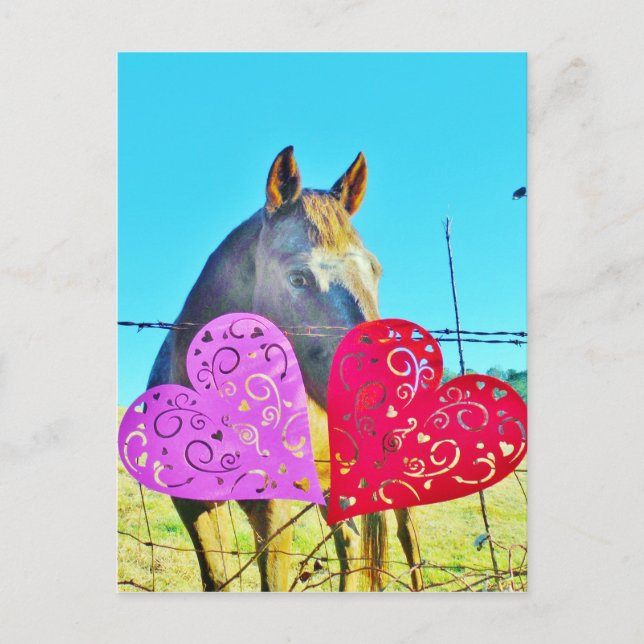 Cartes Pour Fêtes Annuelles Cheval blanc et Brown Valentine Coeurs (Devant)