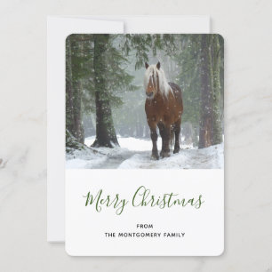 Cartes Pour Fêtes Annuelles Cheval Brown pittoresque dans une forêt d'hiver No