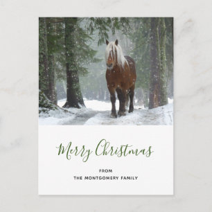 Cartes Pour Fêtes Annuelles Cheval Brown pittoresque dans une forêt d'hiver No