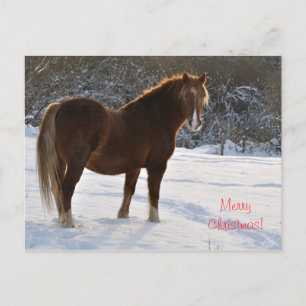 Cartes Pour Fêtes Annuelles Cheval dans la neige Noël