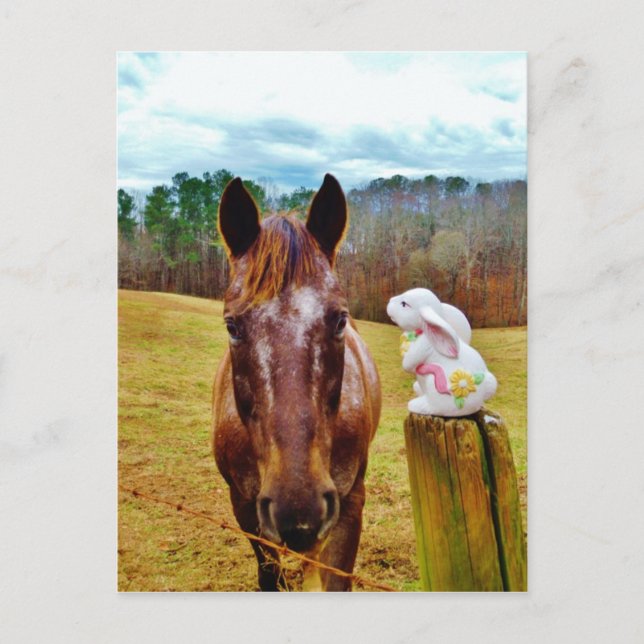 Cartes Pour Fêtes Annuelles Cheval de lapin et de brun de Pâques (Devant)