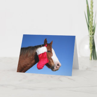 Cartes Pour Fêtes Annuelles Cheval de Noël