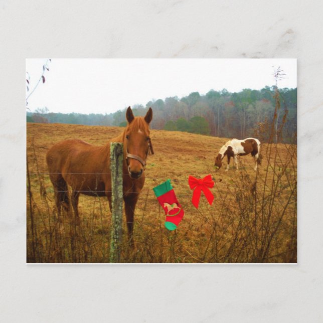 Cartes Pour Fêtes Annuelles Cheval de Noël avec arc et stockage (Devant)