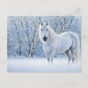 Cartes Pour Fêtes Annuelles Cheval de Noël Neige Lumières