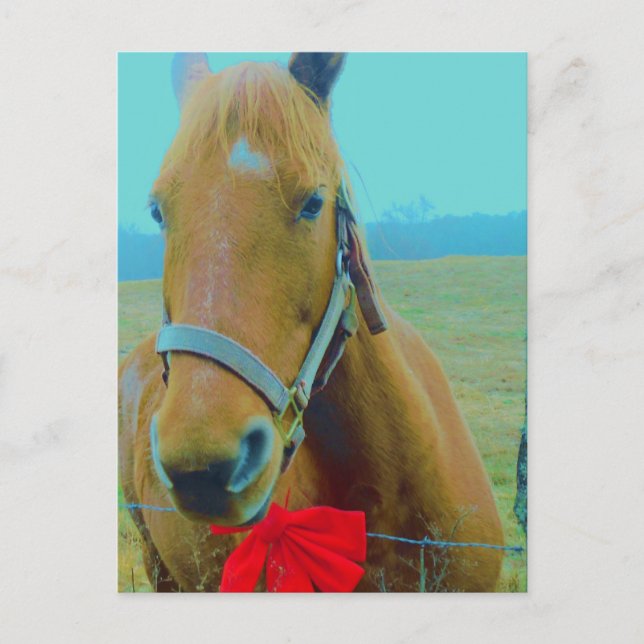 Cartes Pour Fêtes Annuelles Cheval de Noël rétro (Devant)