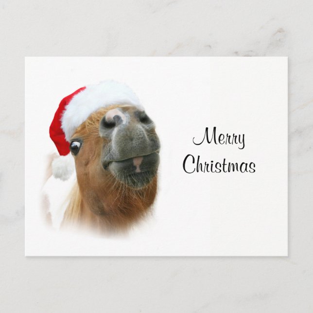 Cartes Pour Fêtes Annuelles Cheval drôle de Noël (Devant)