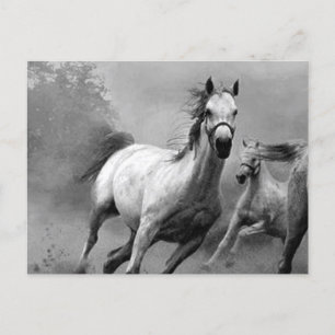 Cartes Pour Fêtes Annuelles Cheval en course