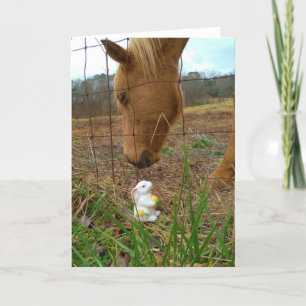 Cartes Pour Fêtes Annuelles cheval et fleur de printemps Bunny