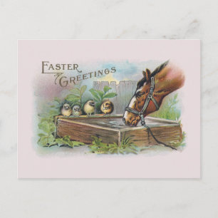 Cartes Pour Fêtes Annuelles Cheval et poussins Vintage Pâques