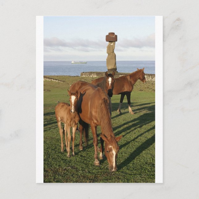 Cartes Pour Fêtes Annuelles Cheval frôlant en île de Pâques (Rapa Nui). (Devant)