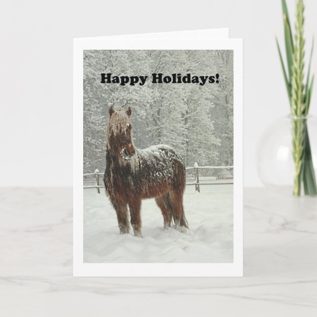 Cartes Pour Fêtes Annuelles Cheval islandais en hiver, Happy Holidays Photo (Devant)