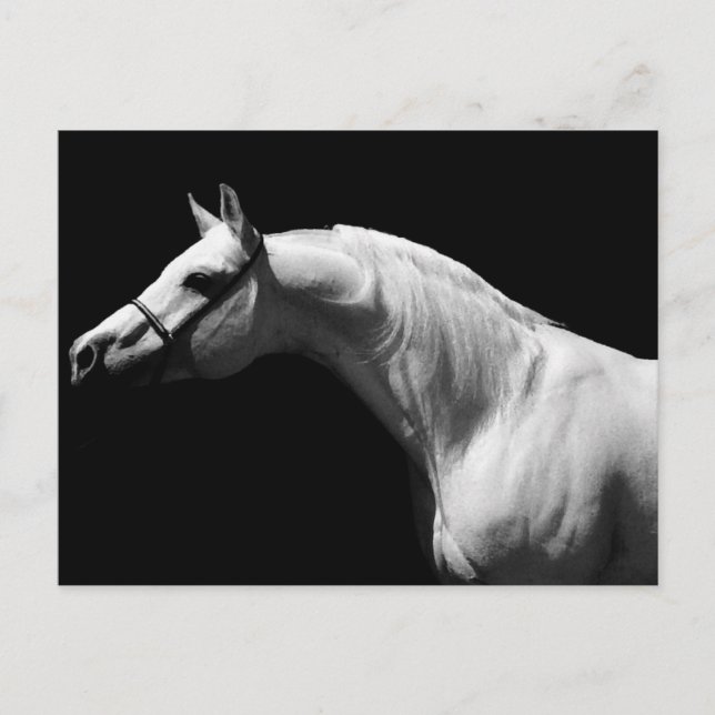 Cartes Pour Fêtes Annuelles Cheval noir et blanc (Devant)