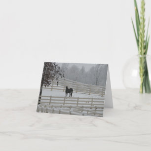 Cartes Pour Fêtes Annuelles Cheval solitaire