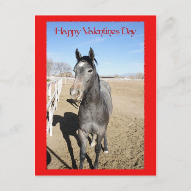 Cartes Pour Fêtes Annuelles Cheval Valentine (Devant)