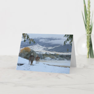 Cartes Pour Fêtes Annuelles Chevaux de neige frais