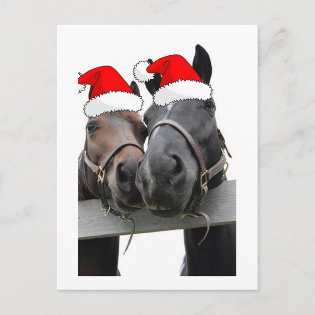 Cartes Pour Fêtes Annuelles Chevaux de Noël (Devant)