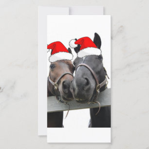 Cartes Pour Fêtes Annuelles Chevaux de Noël