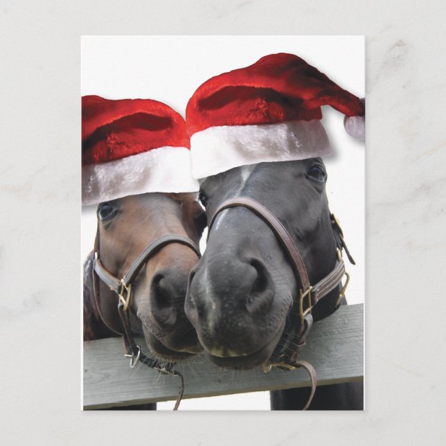 Cartes Pour Fêtes Annuelles Chevaux de Noël avec chapeau de Père Noël (Devant)