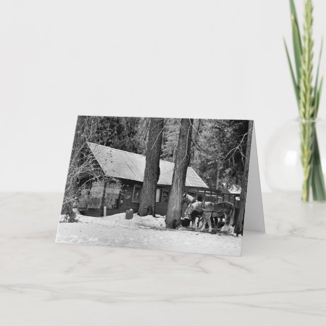 Cartes Pour Fêtes Annuelles Chevaux de Sleigh (Devant)
