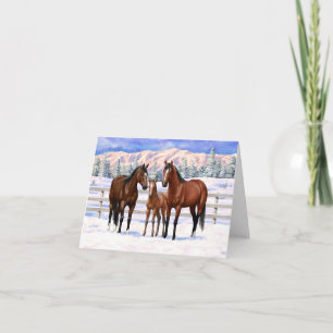 Cartes Pour Fêtes Annuelles Chevaux Du Quartier De La Baie Brown En Neige