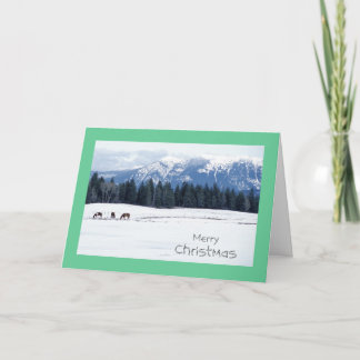 Cartes Pour Fêtes Annuelles Chevaux en hiver, Idaho, Noël