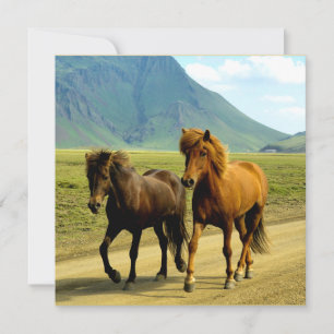 Cartes Pour Fêtes Annuelles Chevaux islandais