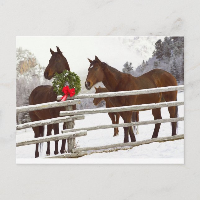 Cartes Pour Fêtes Annuelles Chevaux regardant sur la clôture dans la neige (Devant)
