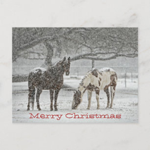 Cartes Pour Fêtes Annuelles Chevaux vous tenant dans le souhait de neige