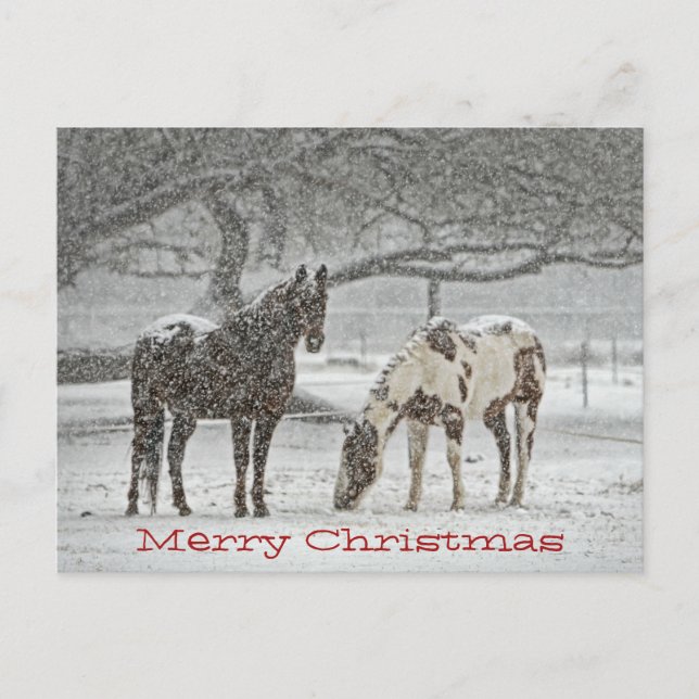 Cartes Pour Fêtes Annuelles Chevaux vous tenant dans le souhait de neige (Devant)