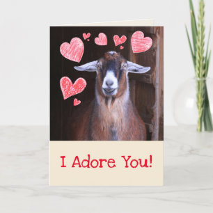 Cartes Pour Fêtes Annuelles Chèvre avec un écrasement Saint-Valentin