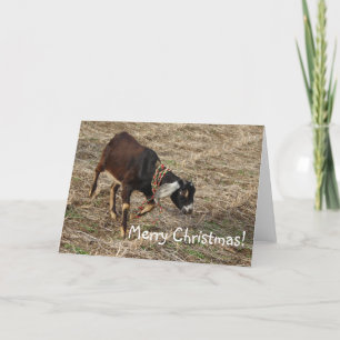 Cartes Pour Fêtes Annuelles Chèvre nubienne, Joyeux Noël !