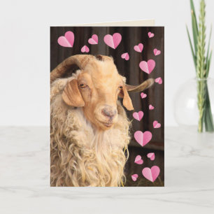 Cartes Pour Fêtes Annuelles Chèvre romantique amusante Saint-Valentin