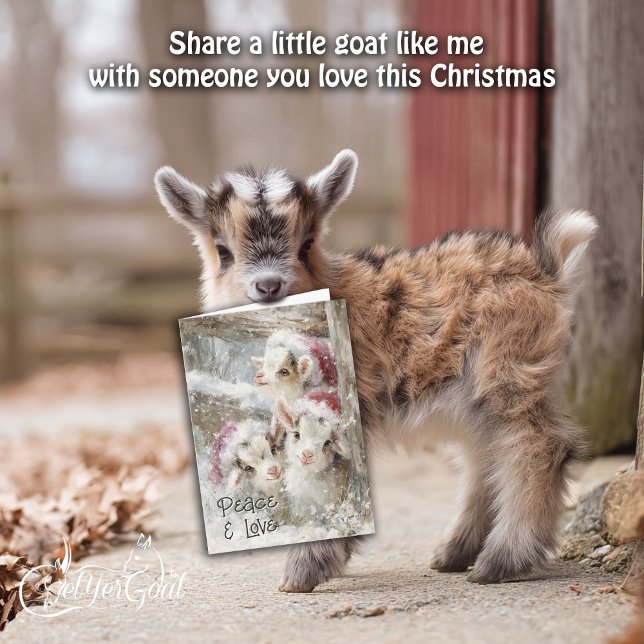 Cartes Pour Fêtes Annuelles Chèvres Bébé mignonnes - Bébés de neige 10 Noël (Créateur téléchargé)