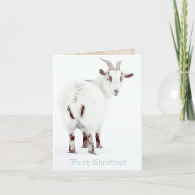 Cartes Pour Fêtes Annuelles Chèvres de Noël (Devant)