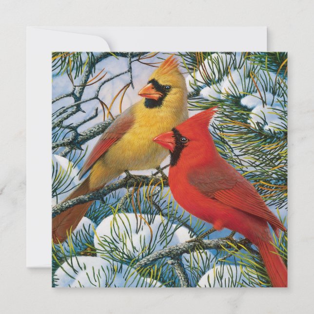 Cartes Pour Fêtes Annuelles Chic Beaux Cardinaux Rouges Et Noël De Neige (Devant)
