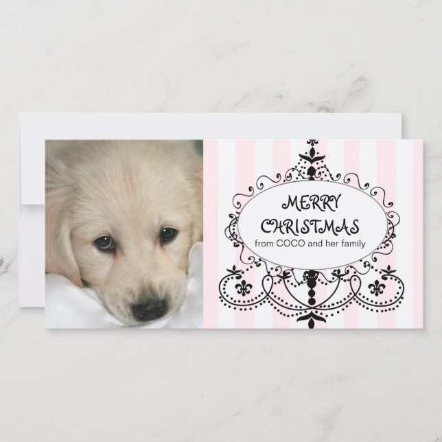Cartes Pour Fêtes Annuelles Chic Chandelier Dog Christmas (Devant)