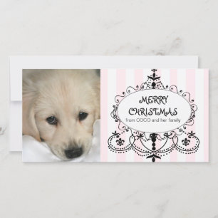 Cartes Pour Fêtes Annuelles Chic Chandelier Dog Christmas