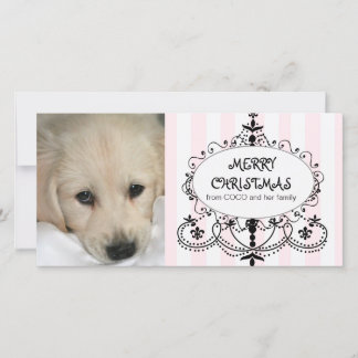 Cartes Pour Fêtes Annuelles Chic Chandelier Dog Christmas