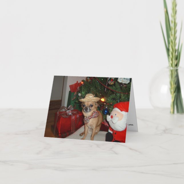 Cartes Pour Fêtes Annuelles chicha de noël (Devant)