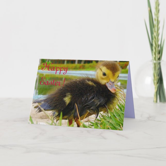Cartes Pour Fêtes Annuelles Chick de Pâques (Devant)