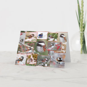 Cartes Pour Fêtes Annuelles Chickadees en collage d'hiver