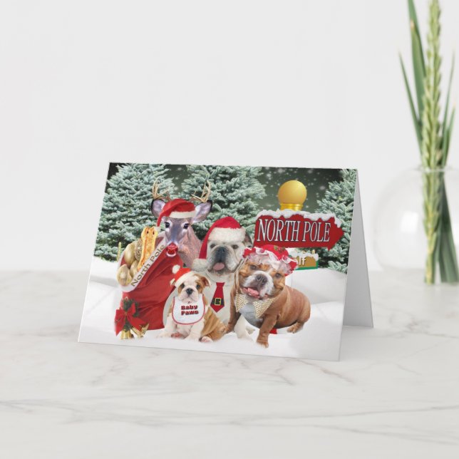 Cartes Pour Fêtes Annuelles Chien À Balle Greating Du Pôle Nord (Devant)