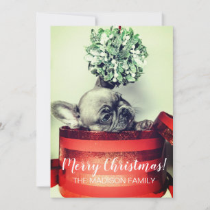 Cartes Pour Fêtes Annuelles Chien À Chien À Main Avec Mistletoe Dans Boîte Cad