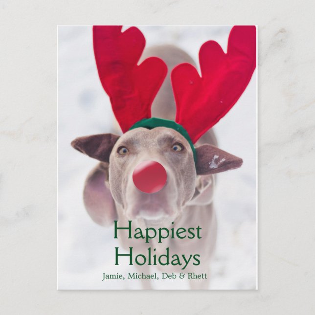 Cartes Pour Fêtes Annuelles Chien adulte de Weimaraner utilisant le bandeau (Devant)