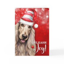 Chien Afghan Hound Libérez la Joie Noël