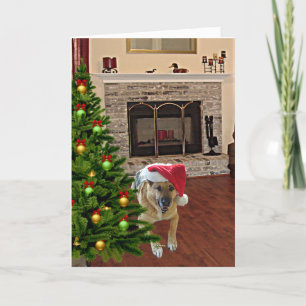 Cartes Pour Fêtes Annuelles Chien berger allemand de père Noël par sapin de No