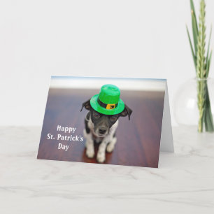 Cartes Pour Fêtes Annuelles Chien Casquette irlandais St. Patrick's Day