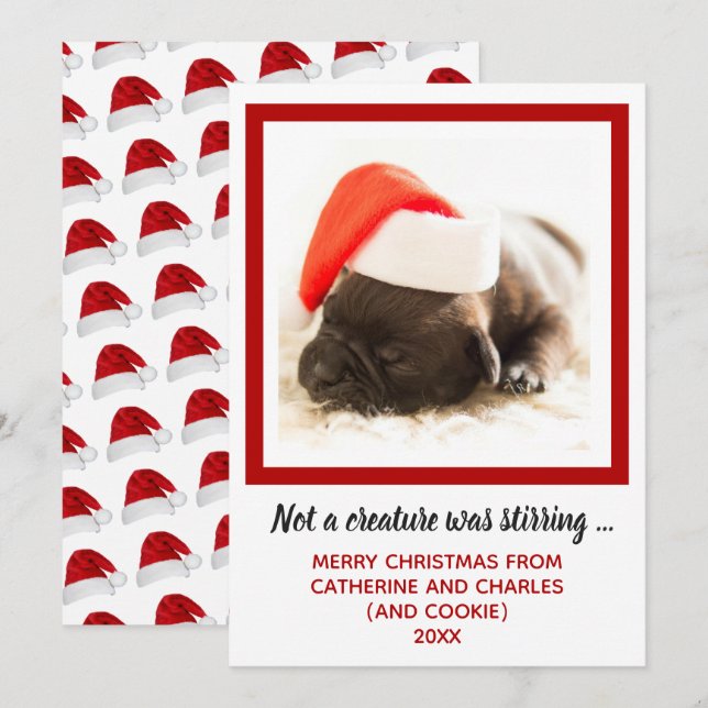 Cartes Pour Fêtes Annuelles Chien Chien Chien Chien Chien Photo Animal (Devant / Derrière)