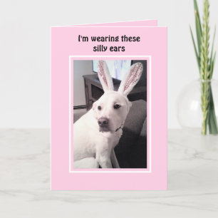Cartes Pour Fêtes Annuelles Chien Chiot Blanc Mignonne Avec Lapin De Pâques Or
